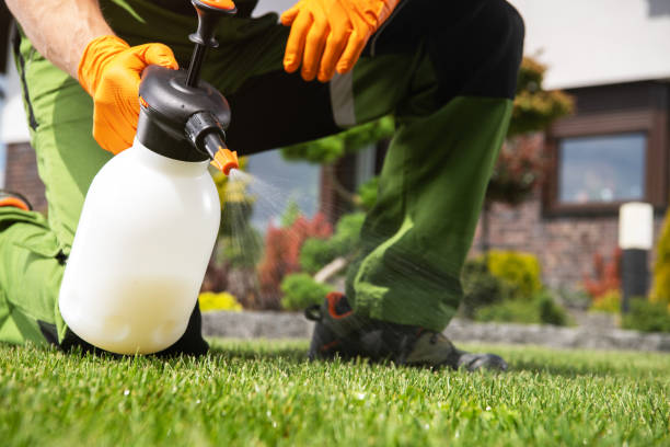 Best Pest Control Near Me in Vista, CA