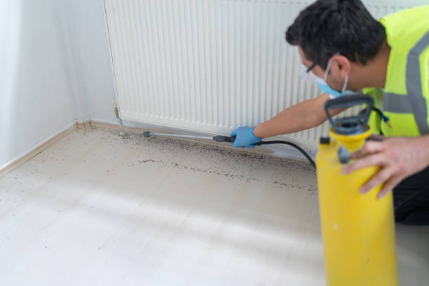 Best Cockroach Control Services  in Vista, CA